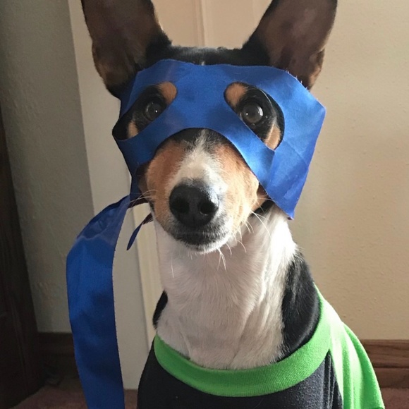 NO clowning around.... - Picture 14 of 16